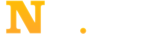 n19 logo